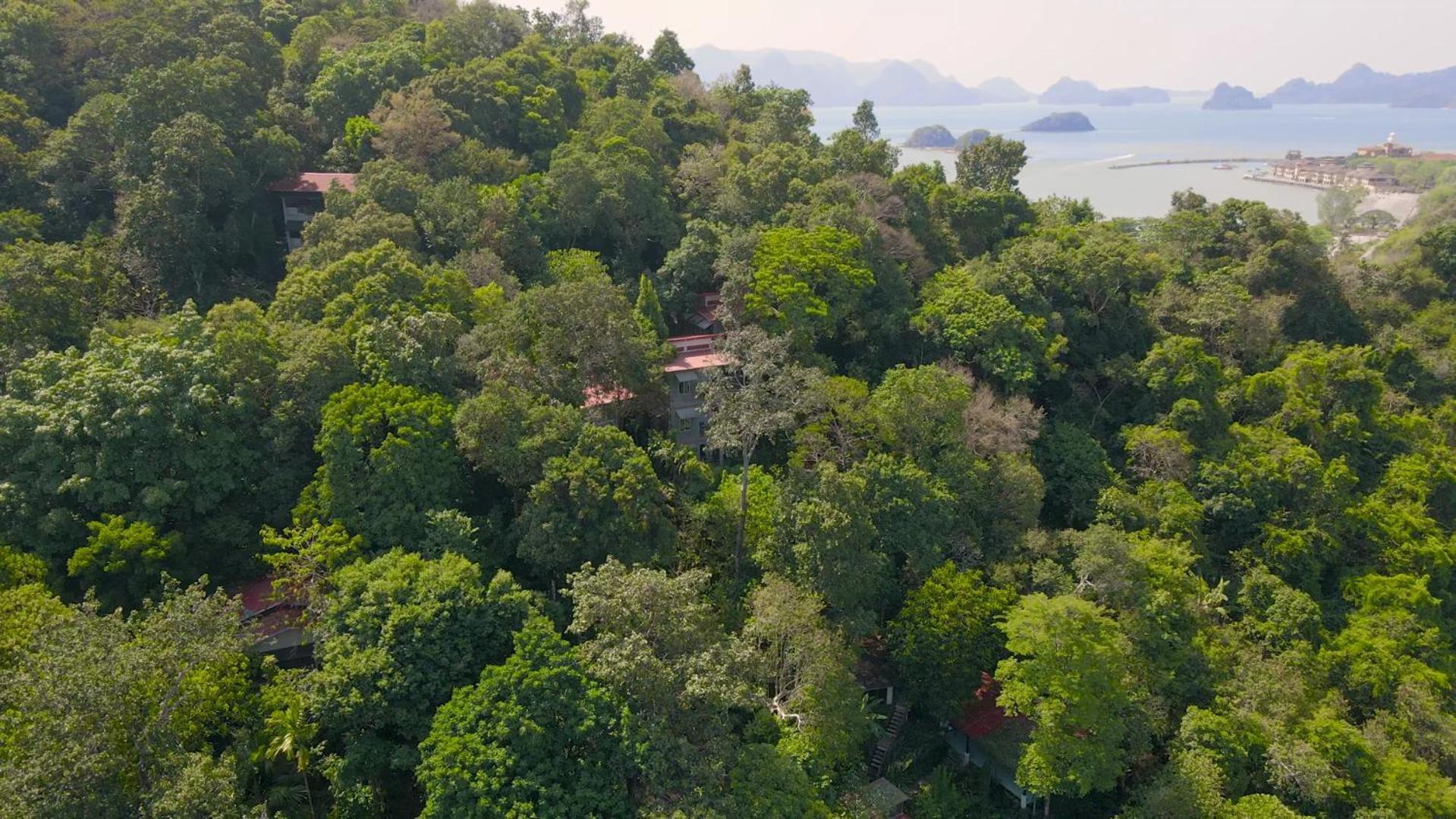 Ambong Rainforest Retreat Pantai Cenang  Exterior foto