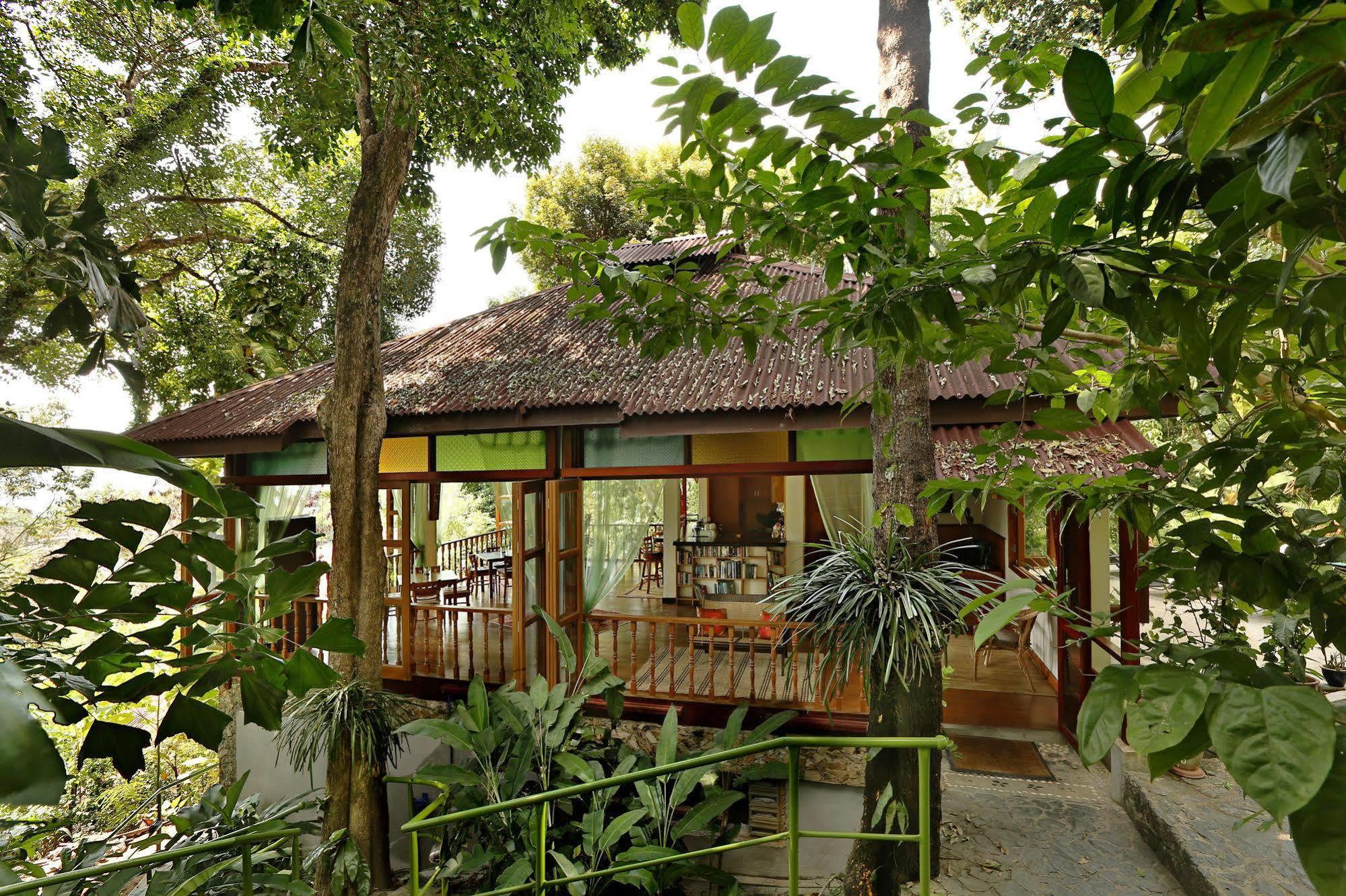 Ambong Rainforest Retreat Pantai Cenang  Exterior foto